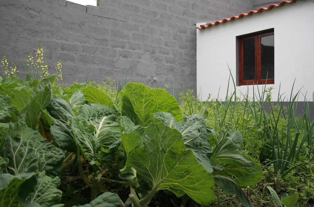Casa Azul Natura Понта-Делгада Екстер'єр фото
